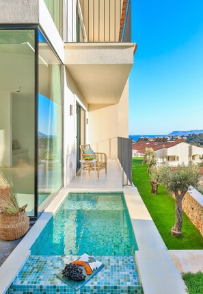 Suite Élite | Vue depuis le balcon