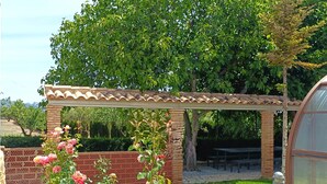 Un jardín con una pérgola, un invernadero y un sendero.