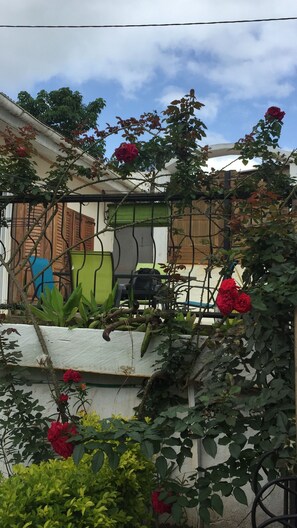 Property grounds - THE GARDEN HOUSE (EXOTIC) (Bafang)