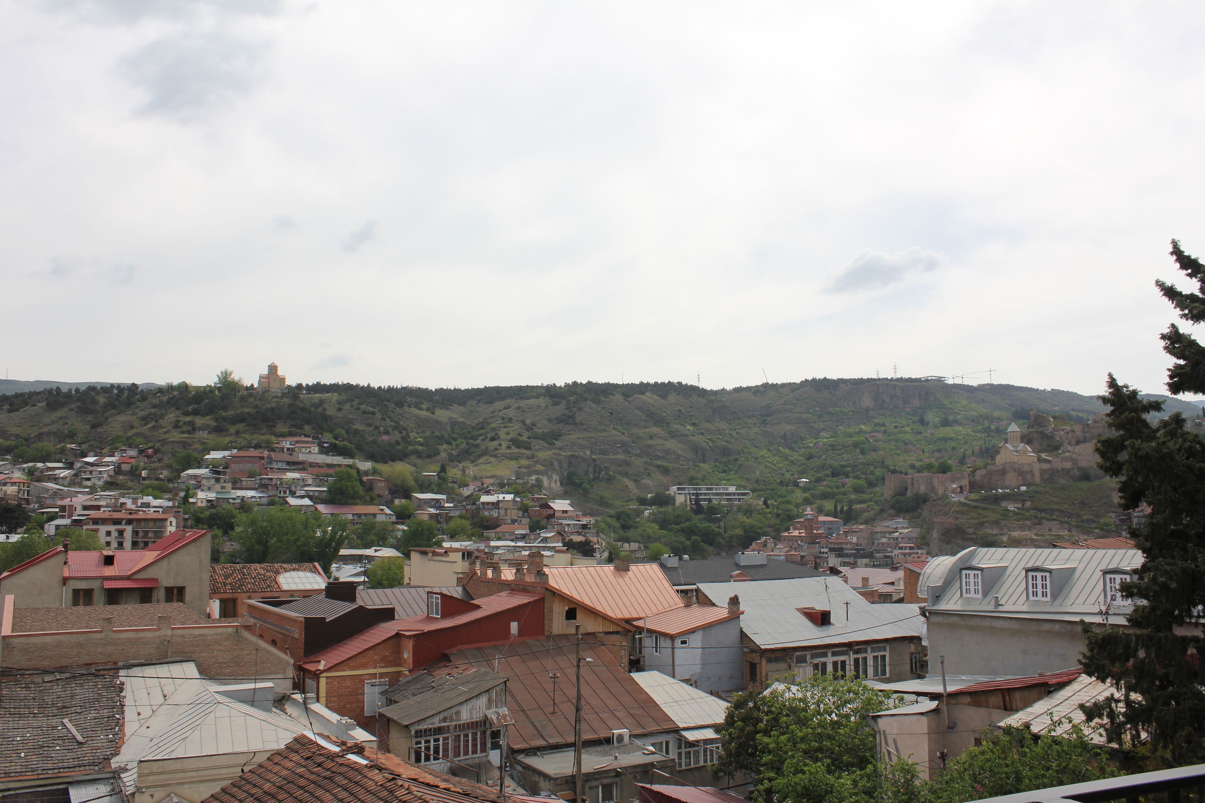 Photo - Cherry Garden