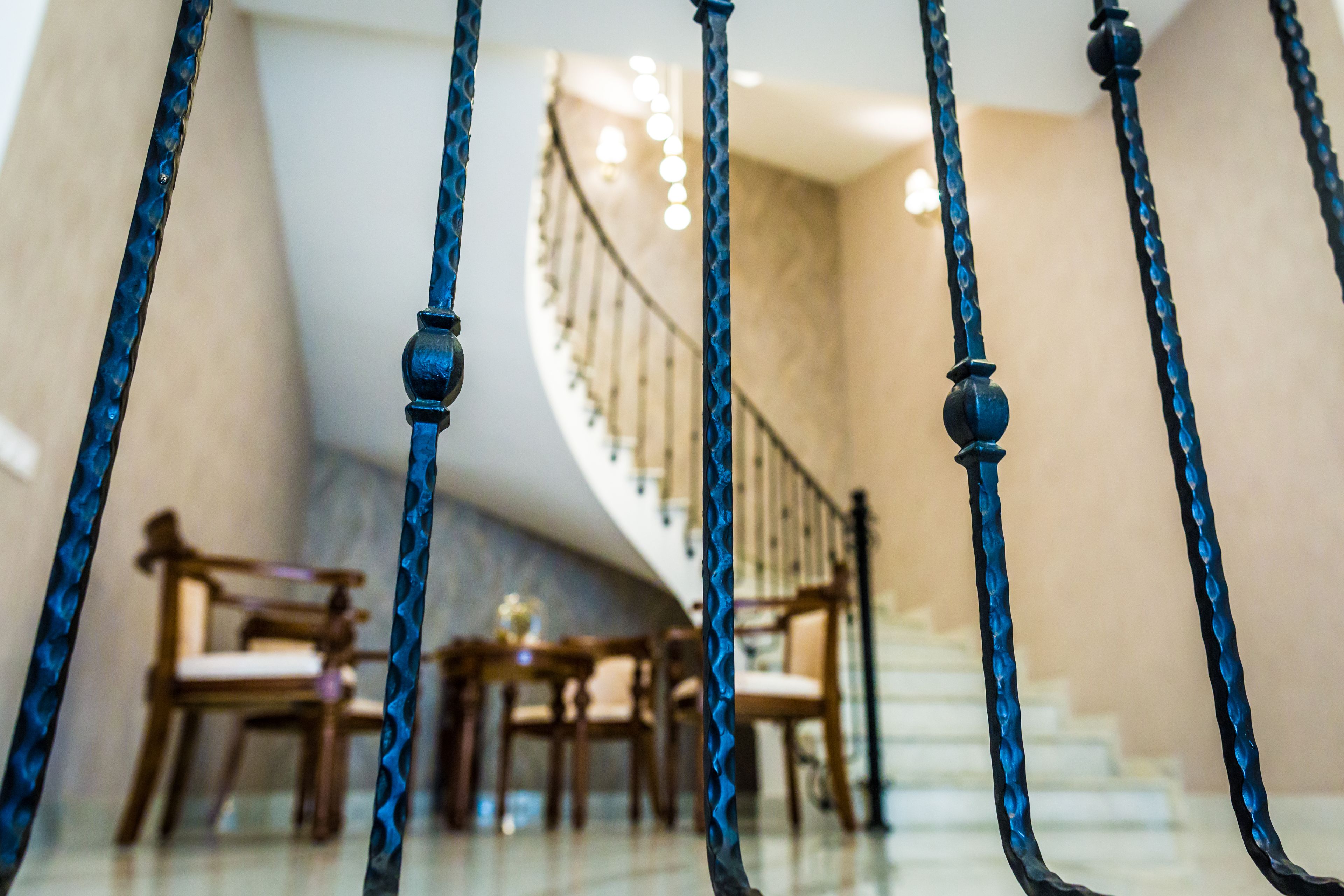 Photo - Cherry Garden