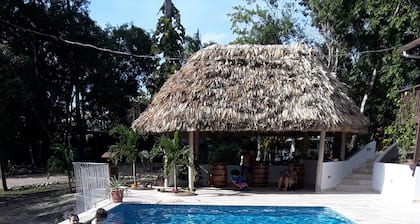 Jolies cabanes dans la jungle Ă mi-chemin entre la capitale Belmopan et San Ignacio,