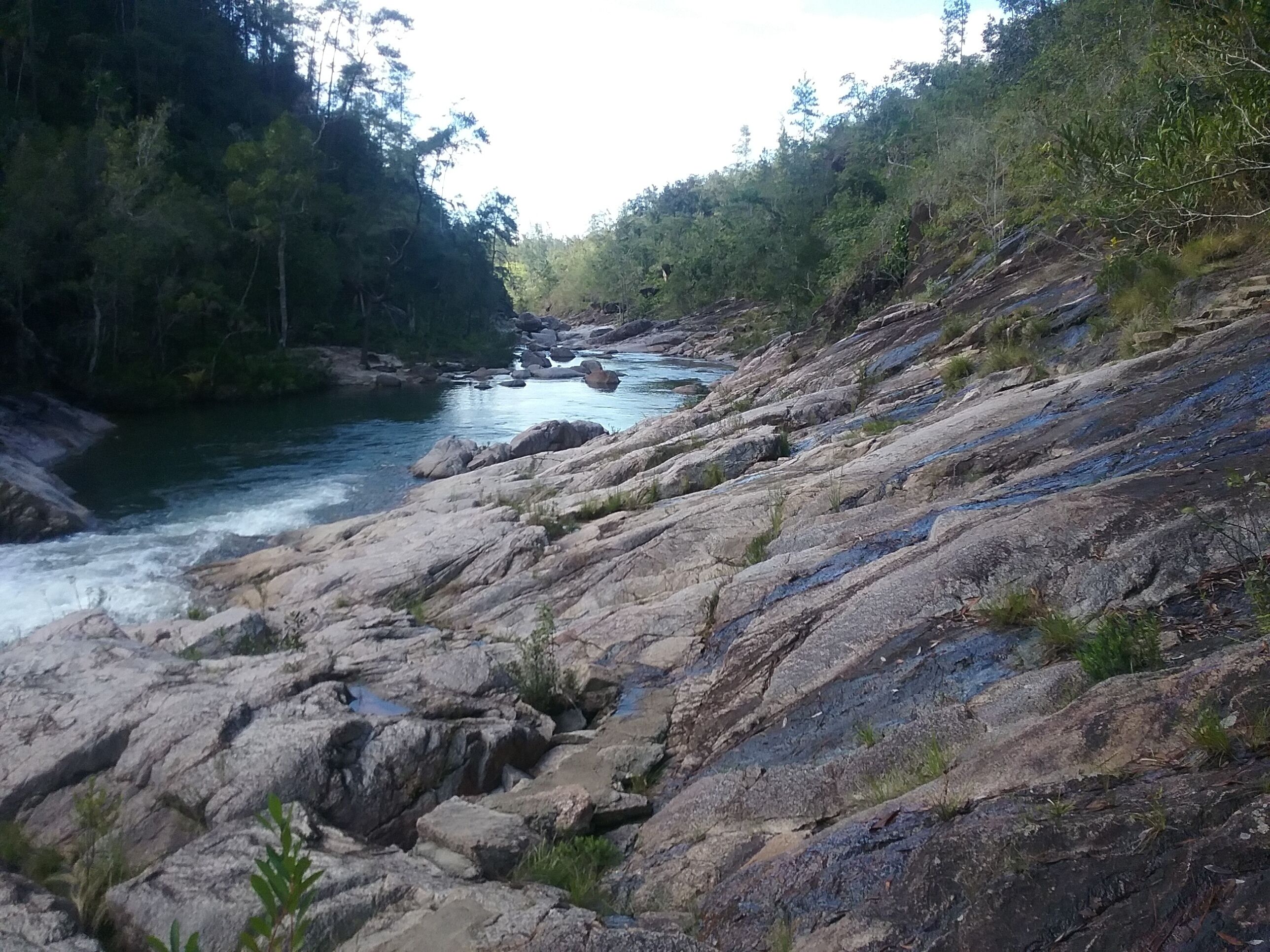 A rocky riverbed with water flowing through it, surrounded by dense forest.