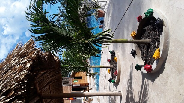 A beachside hotel with a wooden structure, a pool, and colorful flower planters.
