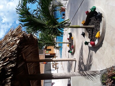 Beautiful Jungle cabanas half way between the capital Belmopan and San Ignacio,