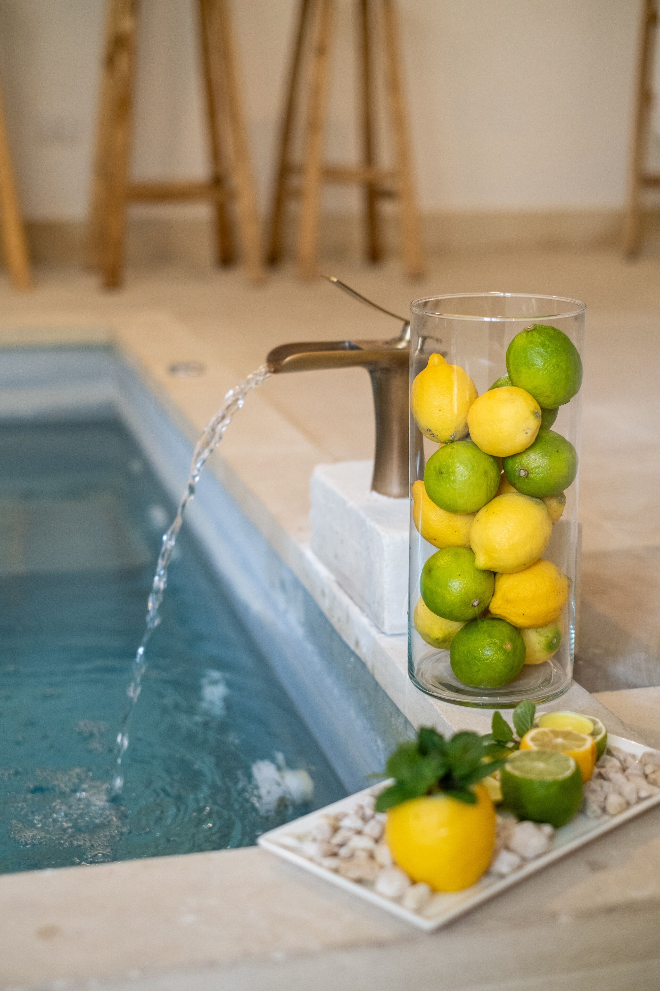Ein Glasbehälter mit Zitronen und Limetten, Wasser läuft hinein, und ein Teller mit Zitronenscheiben und Limettenstücken.