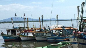 A marina with several boats docked, a clear sky, and mountains in the background.