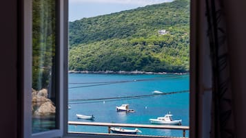Comfort Apartment, 1 Bedroom, Balcony | View from room