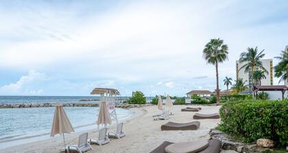 Estudio Summer Breeze