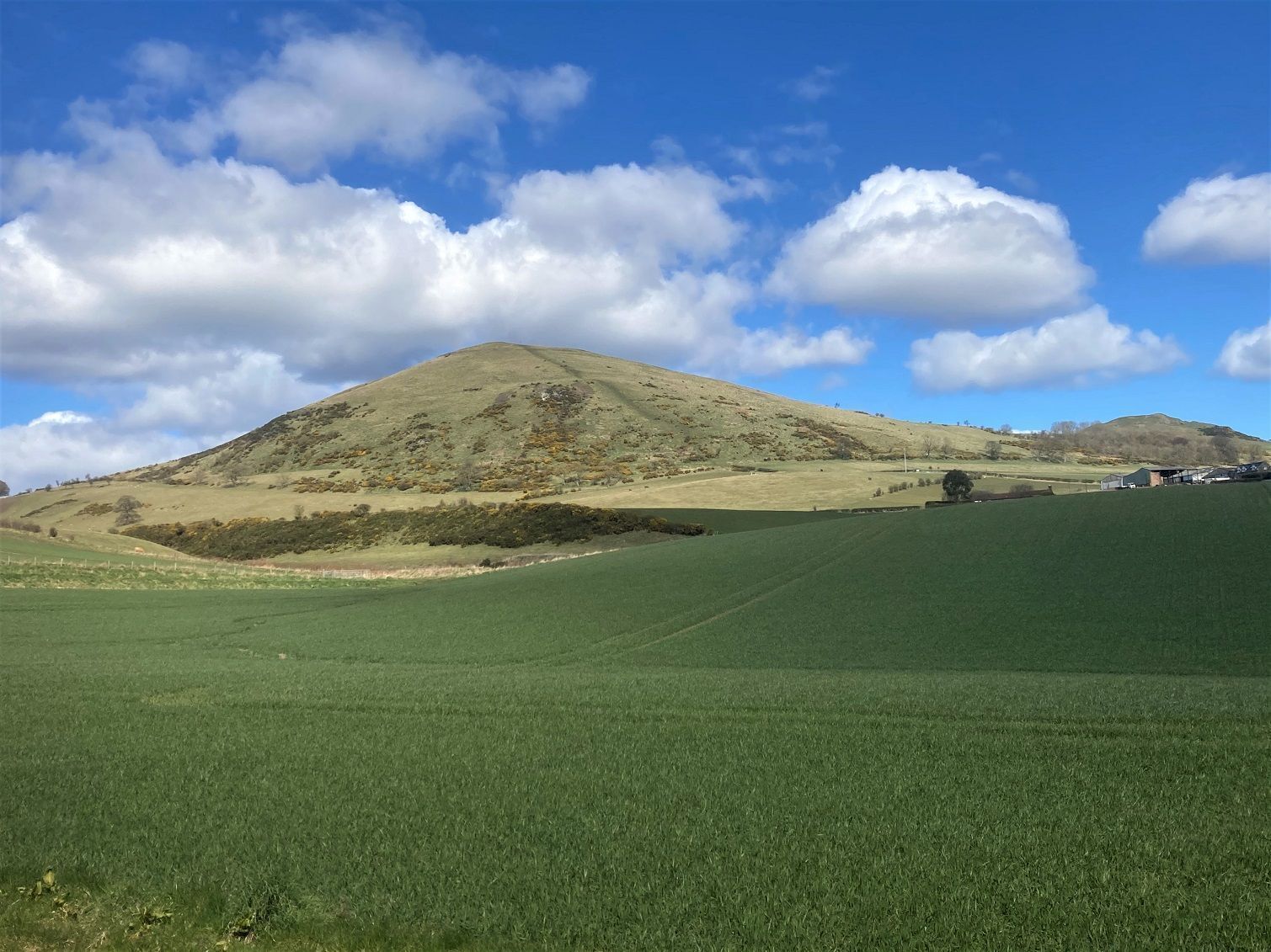 A green field with a hill in the background and a clear sky.