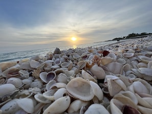 Liegestühle, Strandtücher