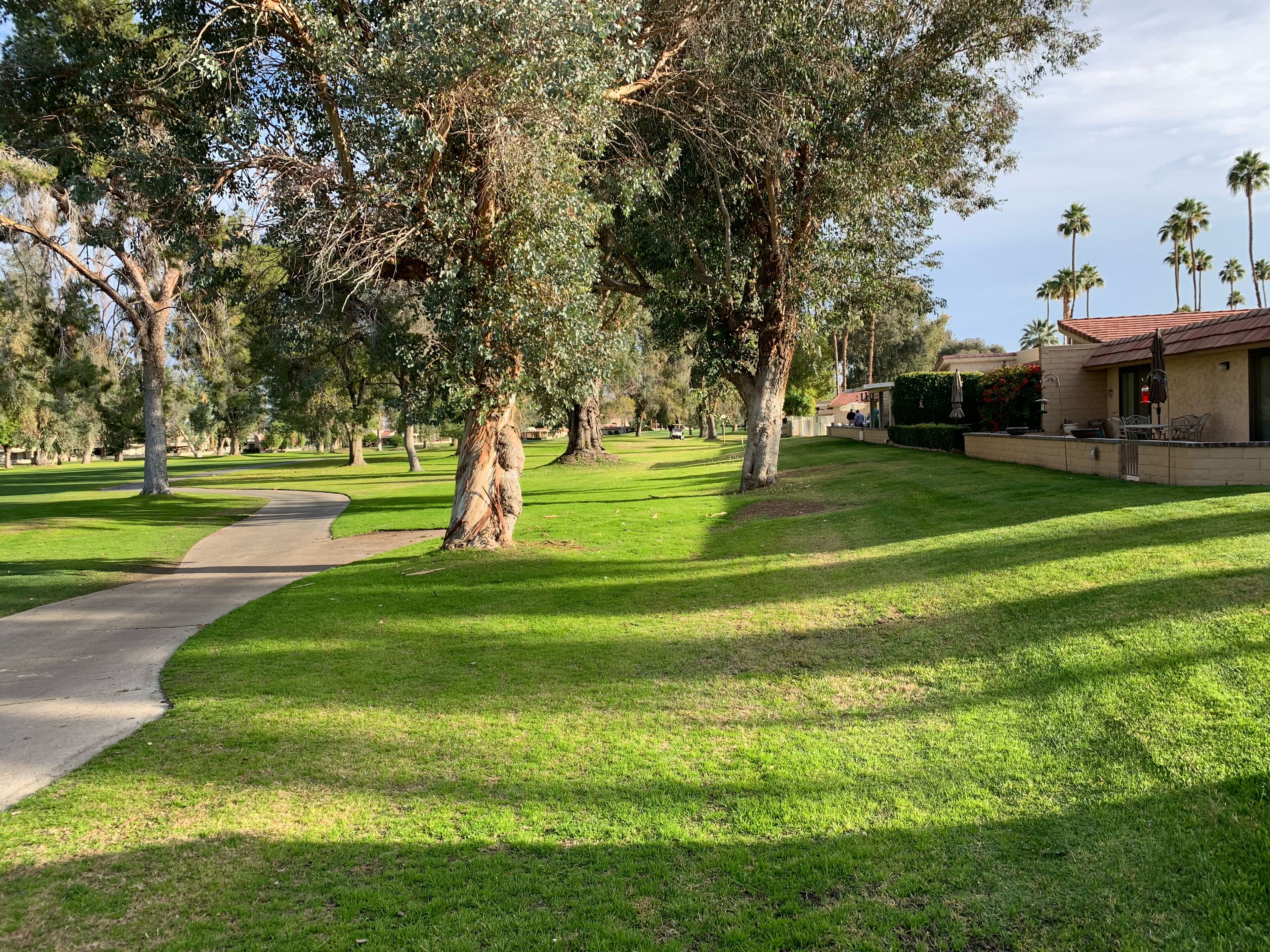 Ein Park mit befestigtem Weg, grünem Rasen und Bäumen.