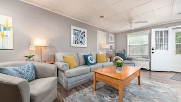 Smart TV, fireplace, books