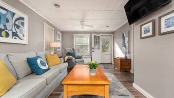 TV connectée, cheminée, livres