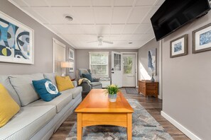 Smart TV, fireplace, books