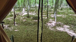 Une tente avec vue sur une zone boisée.