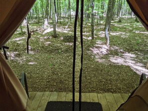 Interior - Luxury Glamping w/Resort Access Included, Site 10 (Phelps)