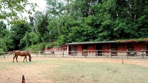 A stable with a horse grazing in an enclosed area with a dirt ground and trees in the background. - B&B Circolo Ippico Semprevisa (Sezze)