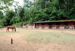 Équitation