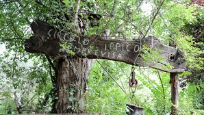 A rustic wooden sign with text, surrounded by dense greenery and a tree trunk. - B&B Circolo Ippico Semprevisa (Sezze)