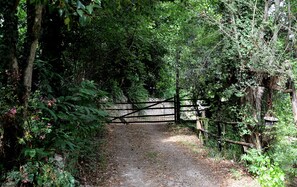 Escursioni a cavallo
