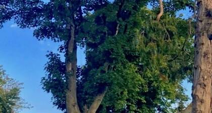 Courtyard Makuuhuone # 1, Orchard, Terryglass