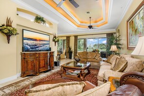 Televisie, een dvd-speler, een filmbibliotheek en een stereo