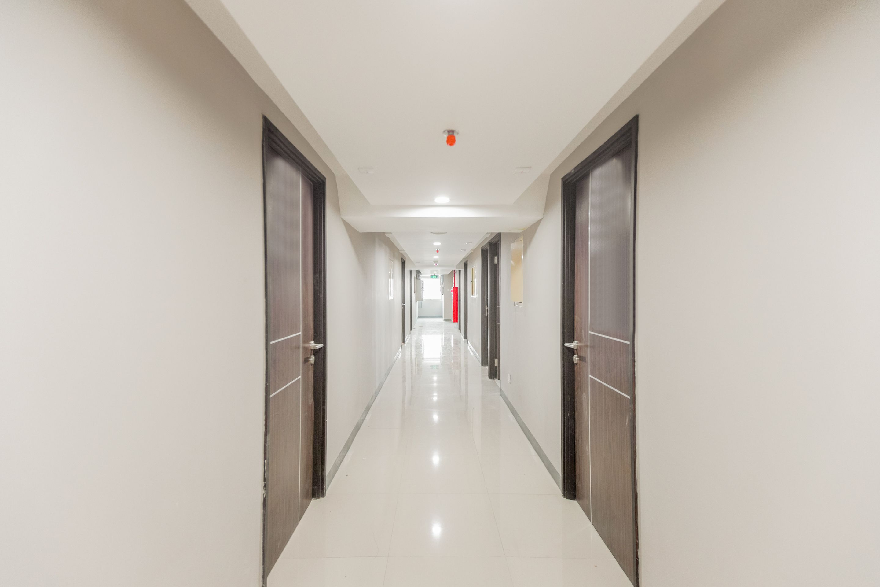 Lorong