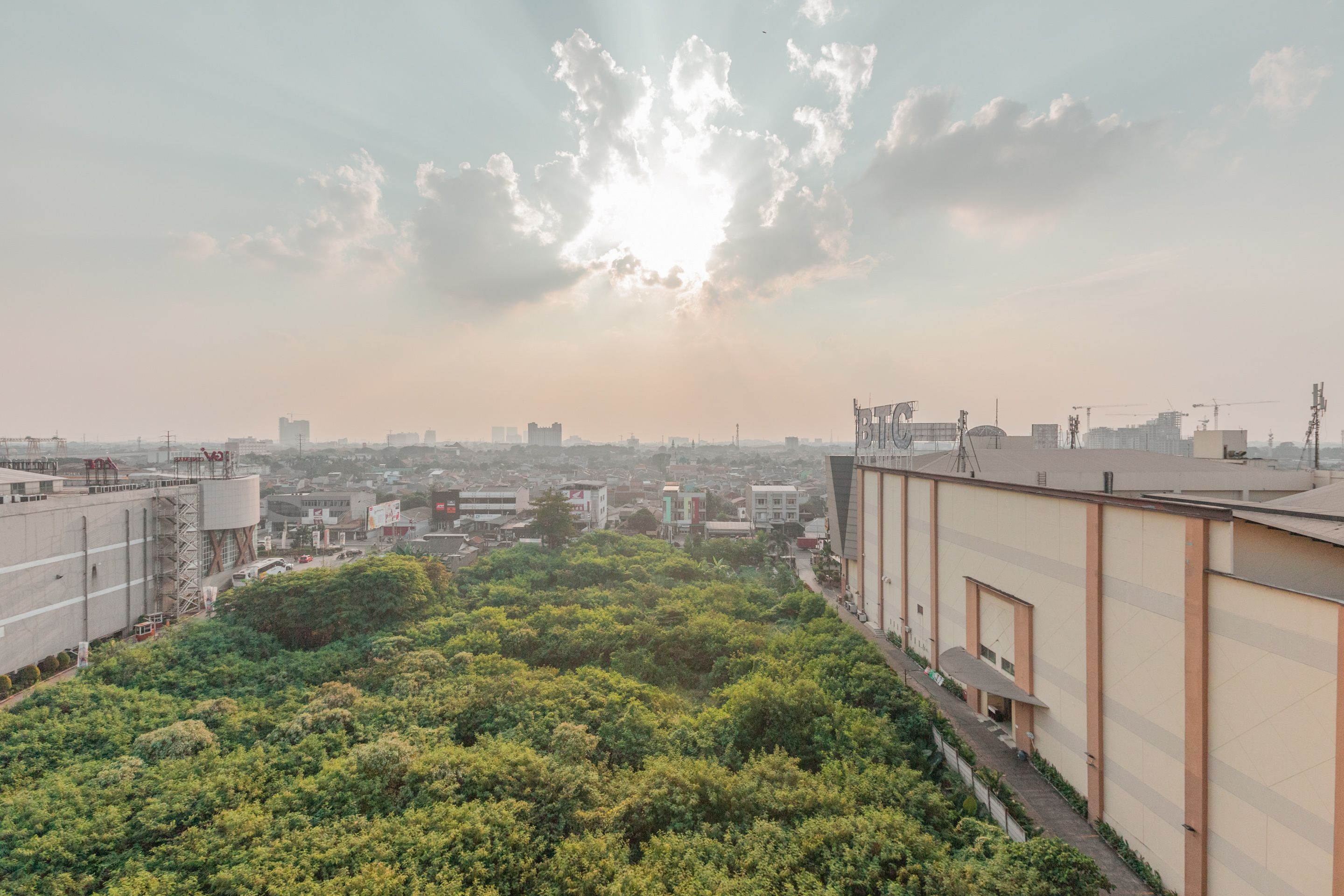 Un jardín en la azotea con abundante vegetación, un paisaje urbano al fondo y un edificio con techo plano y grandes ventanales.
