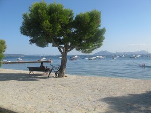 A beach with a stone pavement, a tree, a bench, and boats on the water.