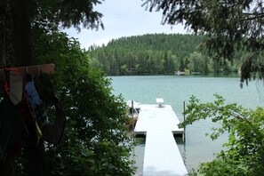 En brygga som sträcker sig ut i en sjö, omgiven av tät skog.