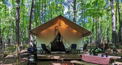 POV Resort -leirintäalueet - ylellinen teltta # 11 (Safari-teltta sähköllä, lämpöpäivitykset valinnaiset)