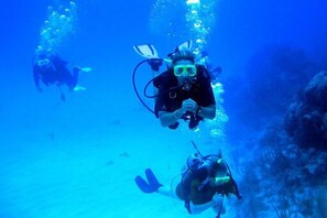A diver underwater with a breathing apparatus. - Contemporary, Luxury Apartment With Valletta and Harbour Views (Sliema)