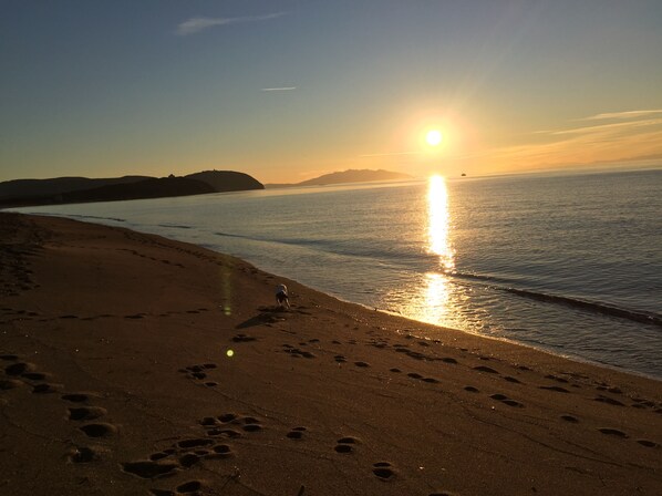 Beach nearby, sun loungers - Beautiful old farmhouse for sole use (Piombino)