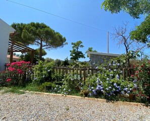 Property grounds - Beautiful old farmhouse for sole use (Piombino)