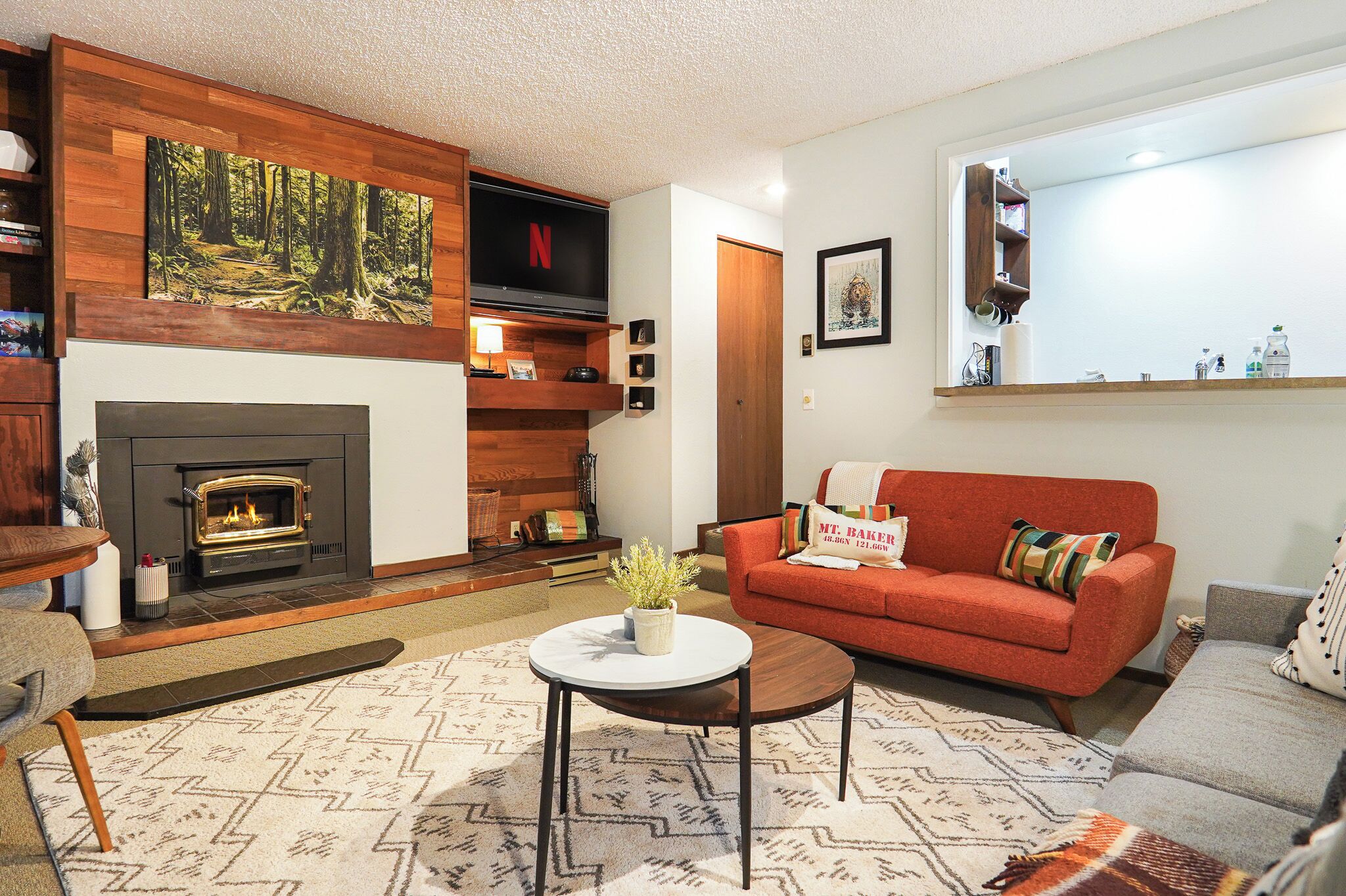TV, fireplace, ping pong, books