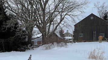 Paisaje nevado con un árbol grande, un granero de madera y una casa al fondo.