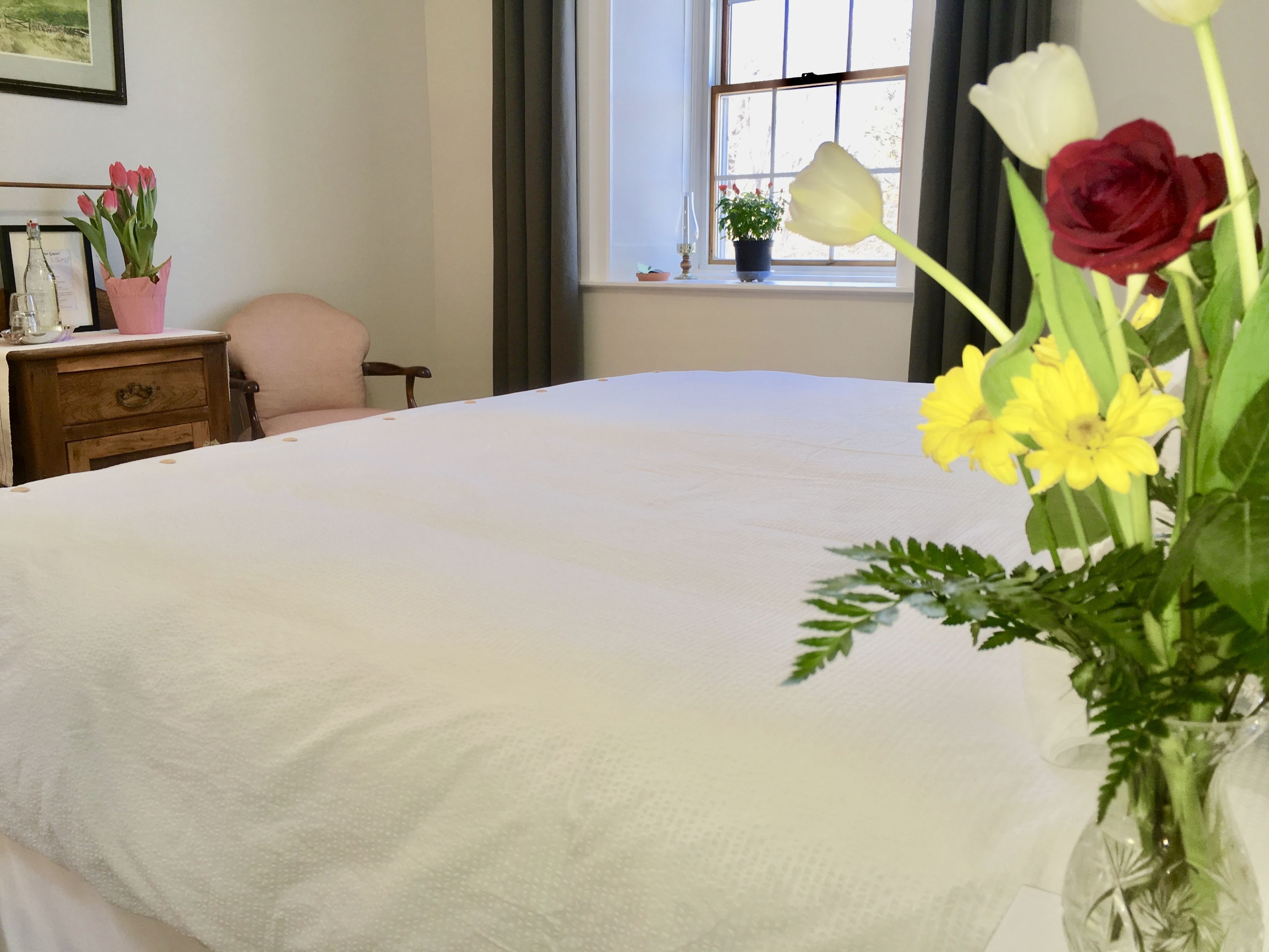 A neatly made bed with a white duvet, a wooden nightstand with a lamp, a pink chair, and a window with a view of the outdoors.