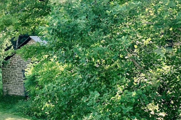 The Garden View Room | View from room