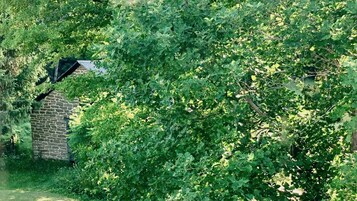 华丽双人房, 1 张大床 | 客房景观