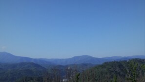 Unclassified image, 4 of 9, button