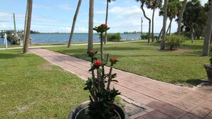 A pathway leading to a body of water with palm trees and a cactus plant with red flowers. - Mangrove Snapper Studio Cottage (Fort Pierce)