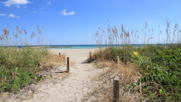 A sandy beach path leading to the ocean, surrounded by tall grasses and greenery. - Mangrove Snapper Studio Cottage (Fort Pierce)