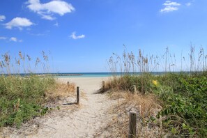 A sandy beach path leading to the ocean, surrounded by tall grasses and greenery. - Mangrove Snapper Studio Cottage (Fort Pierce)