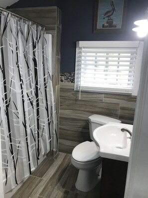 Combined shower/bathtub, hair dryer, towels