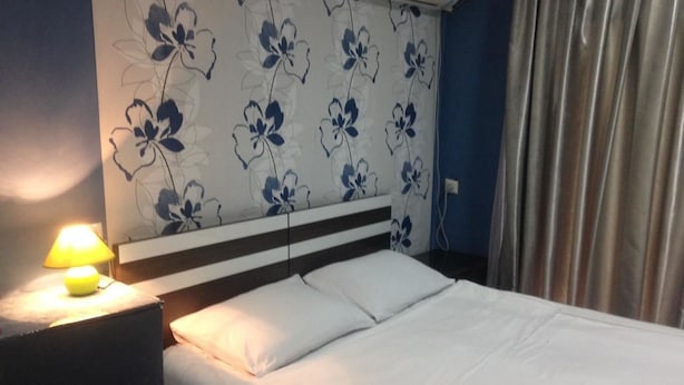 Iron/ironing board (on request), free WiFi, bed sheets - Meidani (Tbilisi)