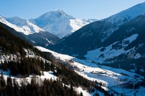 A mountainous landscape with snow-covered peaks and dense forests. - Montagne Alternative (Orsieres)