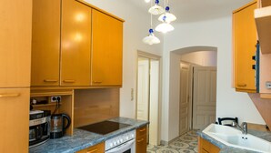 A compact kitchen with wooden cabinets, a built-in oven, a stovetop, and a sink. - Apartment Annabelle (Vienna)