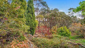 Un jardín con diversas plantas y árboles, un muro de piedra y un pequeño estanque.