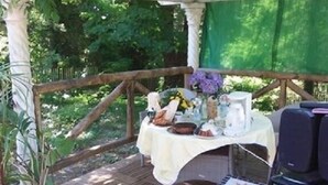 Terrace/patio - B & B Villa al roccolo (Brenta)